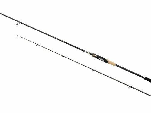 Canne spinning shimano - canne,