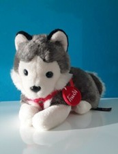 "TRUDI" peluche,Cane Siberian