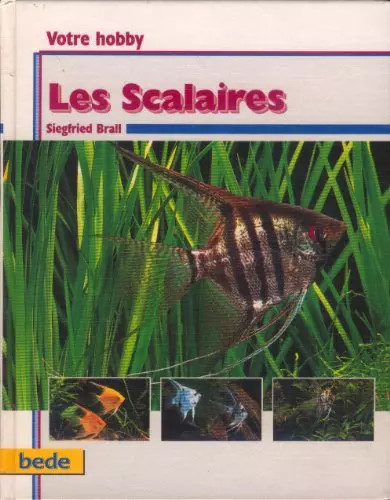 Les scalaires siegfried brail - scalaires,,