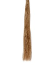 Extension Con Clip 3pz 50-55