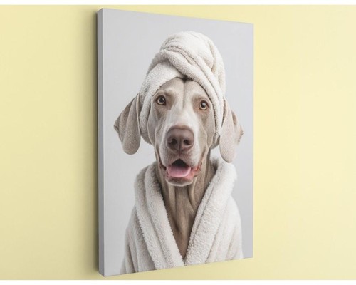 Stampa tela weimaraner - stampa, arte