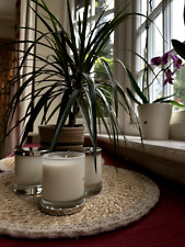 Ingrosso 6 Candele di Soia -