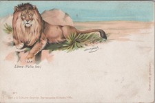 Cartolina d'artista, Leone