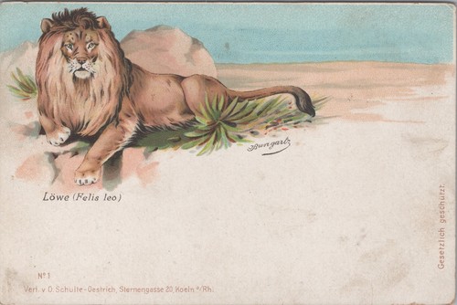 Cartolina artista leone - cartolina,