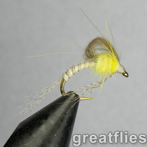 Dozzina cdc loop wing - (12),