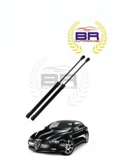 2 Molle a Gas Pistoncini