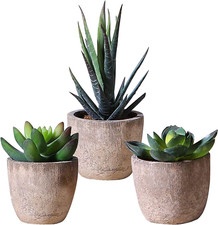 3 Pezzi Di Piante Artificiali Succulente in Vaso, Piante Grasse Finte Decorative