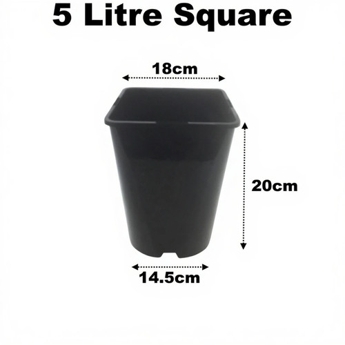 Vaso per piante - , quadrato
