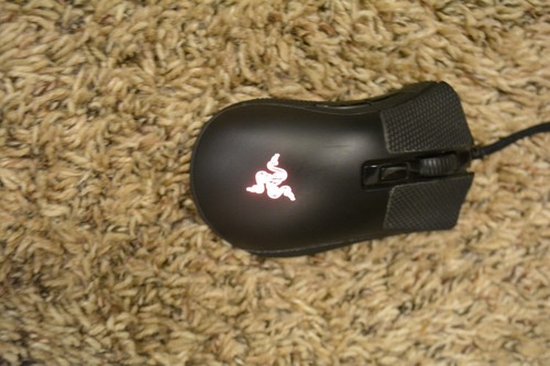 Razer deathadder v2 mini - razer,
