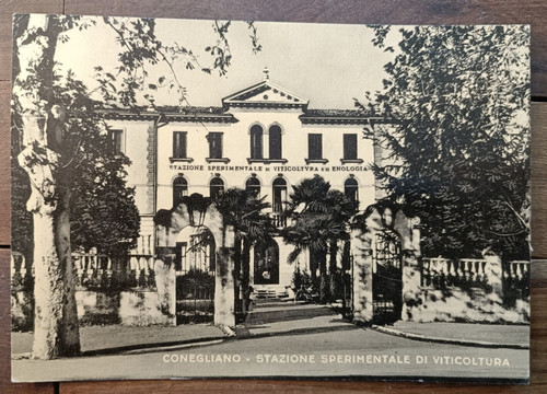 1957 conegliano - 1957, in