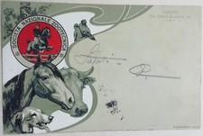 CARTOLINA SOCIETÀ NAZIONALE ZOOTECNICA CONCORSO IPPICO CANI OVINI CAVALLI PALIO