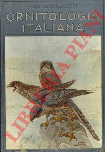 Arrigoni degli oddi ettore - ettore,