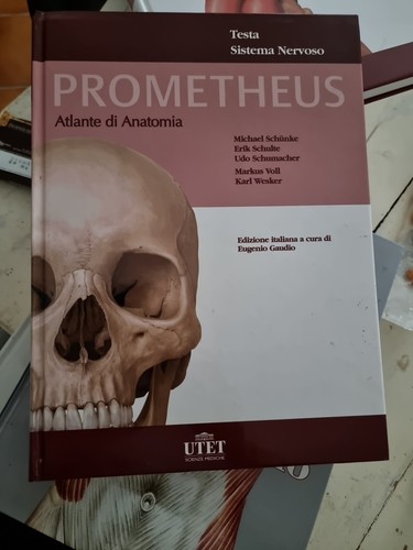 Libri usati medicina - usati, di