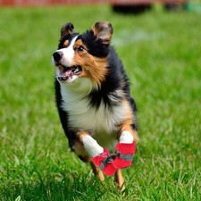  4 Pcs Calzature Per Animali Domestici Scarpette Cane Impermeabili