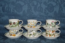 Portmeirion Botanic Garden -