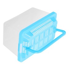  Scatola trasporto rettili