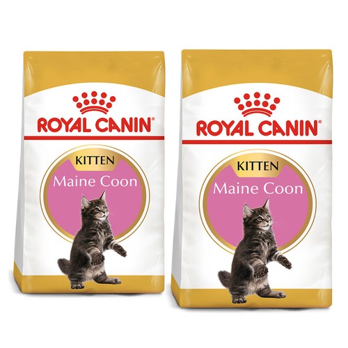 Royal canin maine coon - canin,