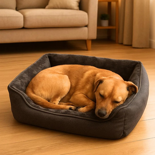 Cuccia cani interno luxury - da,