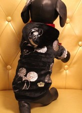 3193_Angeldog_Abbigliamento