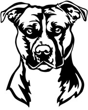 Adesivo AMERICAN STAFFORDSHIRE