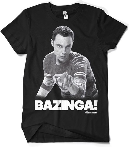 The big bang theory - the,