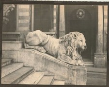  B - Foto Photo Fotografia Anni 40 - Genova Statua Leone Cattedrale San Lorenzo