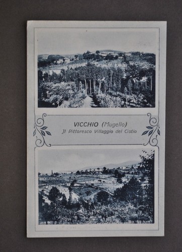 Cartolina toscana firenze - cartolina,