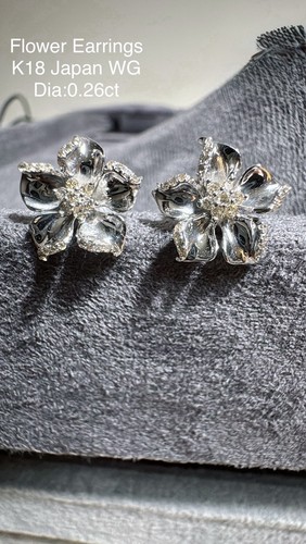 Orecchini perno oro bianco - a,