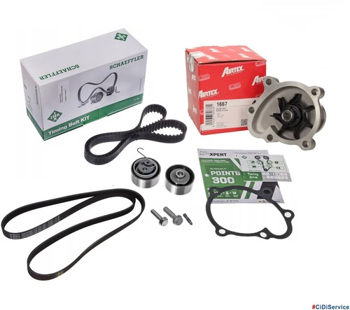 Kit distribuzione ina pompa - kit,