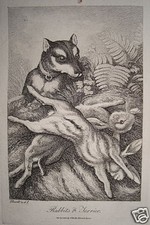 Terrier cacciatore cane