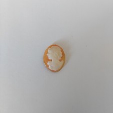 Cammei Camei Cameo Conchiglia