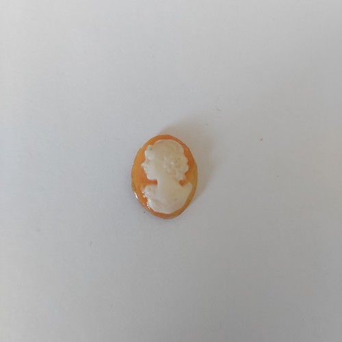 Cammei camei cameo - cammei,