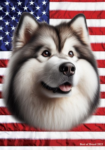 Bandiera alaskan malamute - alaskan,