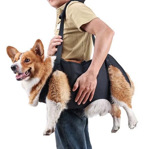 Supporto corpo cane - supporto,