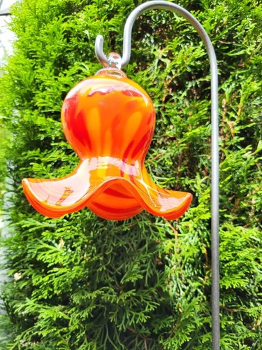 Mughetto rosso spina - , da