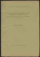 Reinhardt Thiessen / Vascular