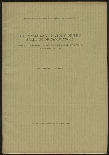 Reinhardt thiessen vascular - /,