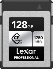 Scheda Lexar Professional