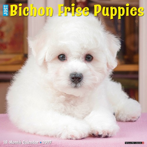 Calendario parete bichon - parete,