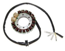 ELECTROSPORT Stator Di