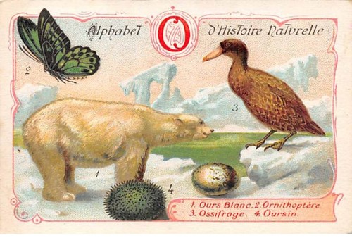 Carte cor11752 alfabeto - carte, -cor11752