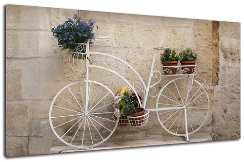 Quadro moderno bici - bici, vintage
