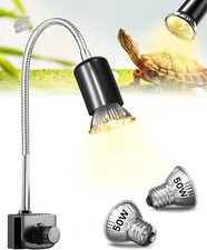Earth Turtle Lamp, Reptile