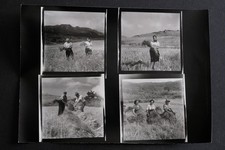 IL LAVORO DEI CAMPI *provini