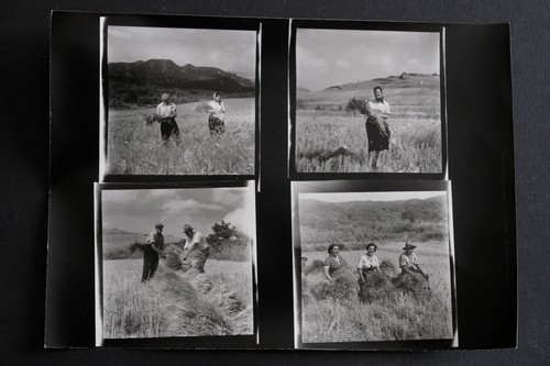 Lavoro dei campi provini - il, *provini