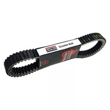 Cinghia Trasmissione Variatore