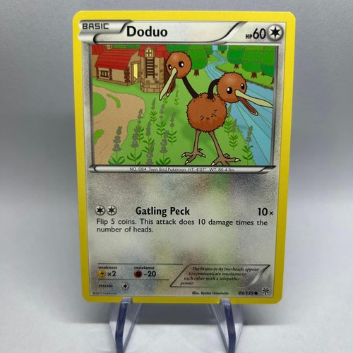 Doduo 135 common plasma - doduo,