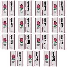 ENGLAND RUGBY UNION 2023/24