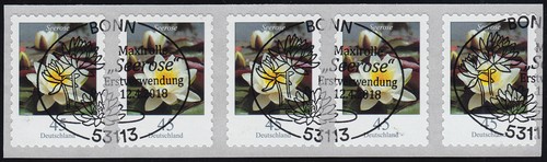 3376 ninfea centesimi 5 - ninfea, sk