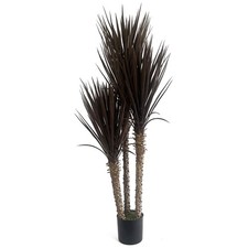 Albero di Yucca 155cm XL